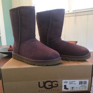 NEW UGG Boots
